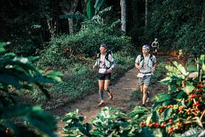 BIB: 
                            <button type="button" onclick="openModal(25813588)" class="btn btn-primary btn-sm float-right btn-popup" data-toggle="modal" data-target=".modal-high-quality">
                        <i class="fas fa-shopping-cart"></i> Add to Cart
                    </button>
                                            <button type="button" onclick="isThisMe(25813588, true)" class="btn btn-success btn-sm float-right btn-popup btn-isme hidden" data-toggle="tooltip" data-placement="bottom" title="นี่คือรูปของคุณใช่ไหม คลิกที่นี่เพื่อเอาเข้าอัลบั้ม">
                        <i class="fas fa-plus"></i> Add to album
                    </button>
                    <button type="button" onclick="isThisMe(25813588, false)" class="btn btn-warning btn-sm float-right btn-popup btn-isnotme hidden">
                        <i class="fas fa-ban"></i> Remove from album
                    </button>